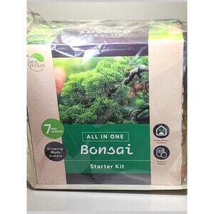 Real Petaled Bonsai Starter Kit 7 Seed Varieties Complete Indoor Garden Gift New